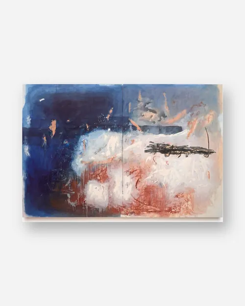 Searching the sky for dreams (an August shore)