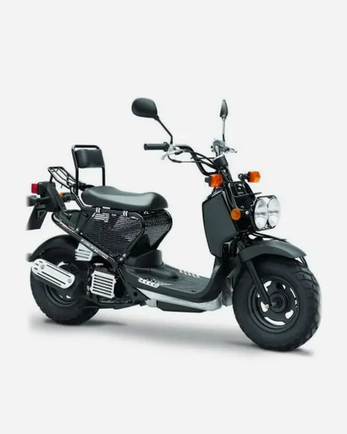 Zoomer, 2002
